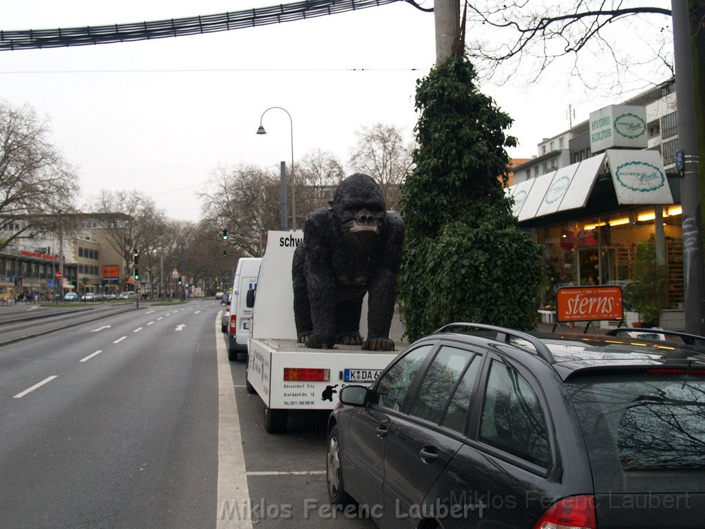 King Kong in Koeln 2.JPG
